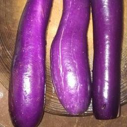 药流后可以吃茄瓜吗,茄瓜可否食用？